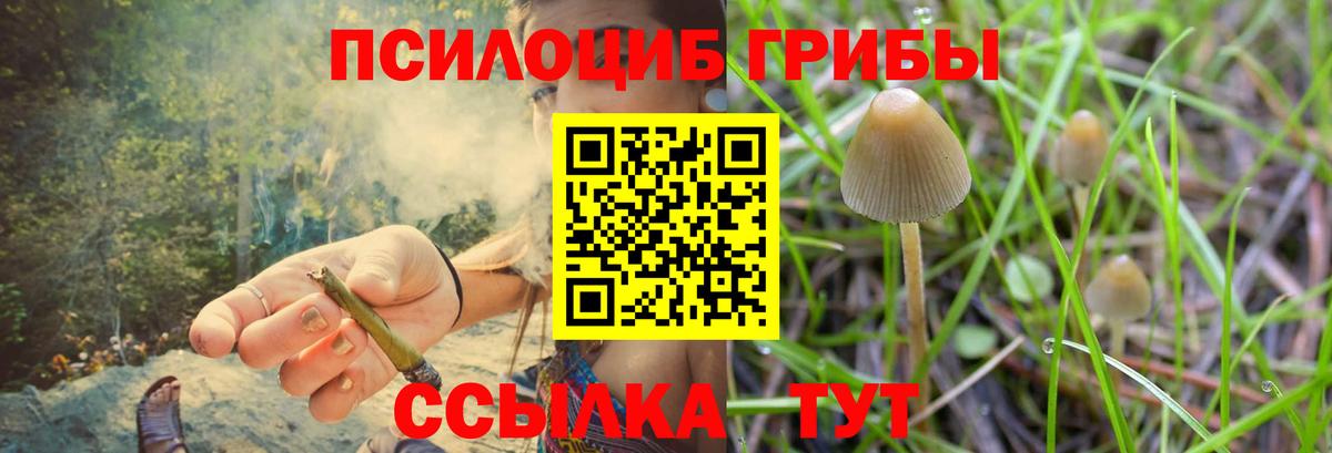 Каменск-Уральский  Псилоцибиновые грибы мухоморы  где купить   Вход с VPN  Псилоцибиновые грибы Cubensis 
